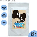 【店内ポイント最大42倍!11月1日!】【レビュー特典あり】パシュートオブラブ ドッグフード 生もり おとなおいしいごはん 100g×30袋セット 無添加 レト...