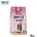 ハッピーキャット HAPPY CAT キャットフード ヤング ジュニア ファーム ダック(平飼いの鴨/穀物不使用) 4kg【送料無料】