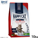 ハッピーキャット HAPPY CAT キャットフード カリナリー バイエルン ビーフ(大粒) 10kg【送料無料】