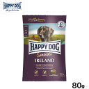 ハッピードッグ HAPPY DOG ドッグフード センシブル アイルランド サーモン&ラビット スキンケア(成犬~シニア犬用) 80g