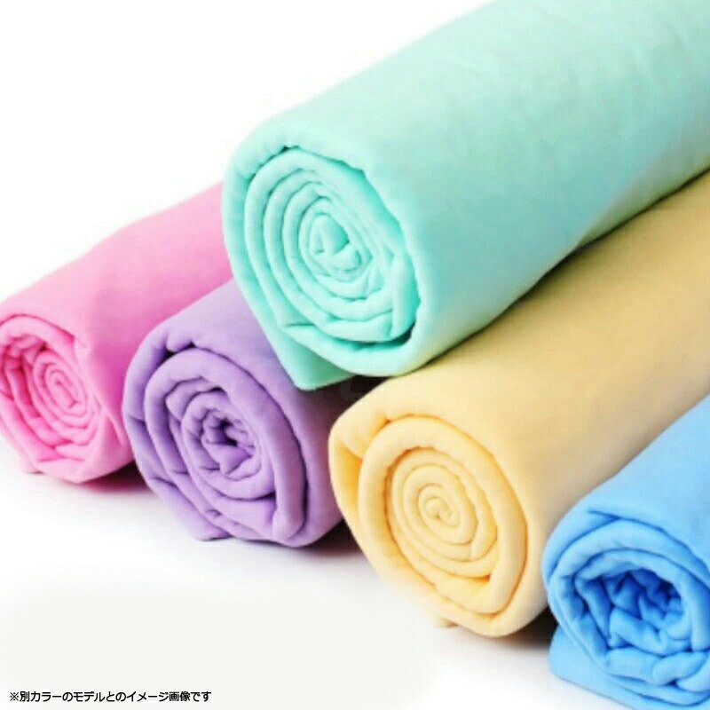 �ں���2000��OFF�����ݥ󡪡�Ź��ݥ���Ⱥ���52�ܡ��ޥ饽����ꡪ��Petifam �ڥƥ��ե����� Ķ�ۿ��С������� �֥롼 �� �ڥåȥ����� Ķ�ۿ奿���� PVA���ݥ� �ۿ�®�� ���餫�� ���ѥ������դ� �����ȥɥ� ���Ǥ��� ����ѥ��� ��������