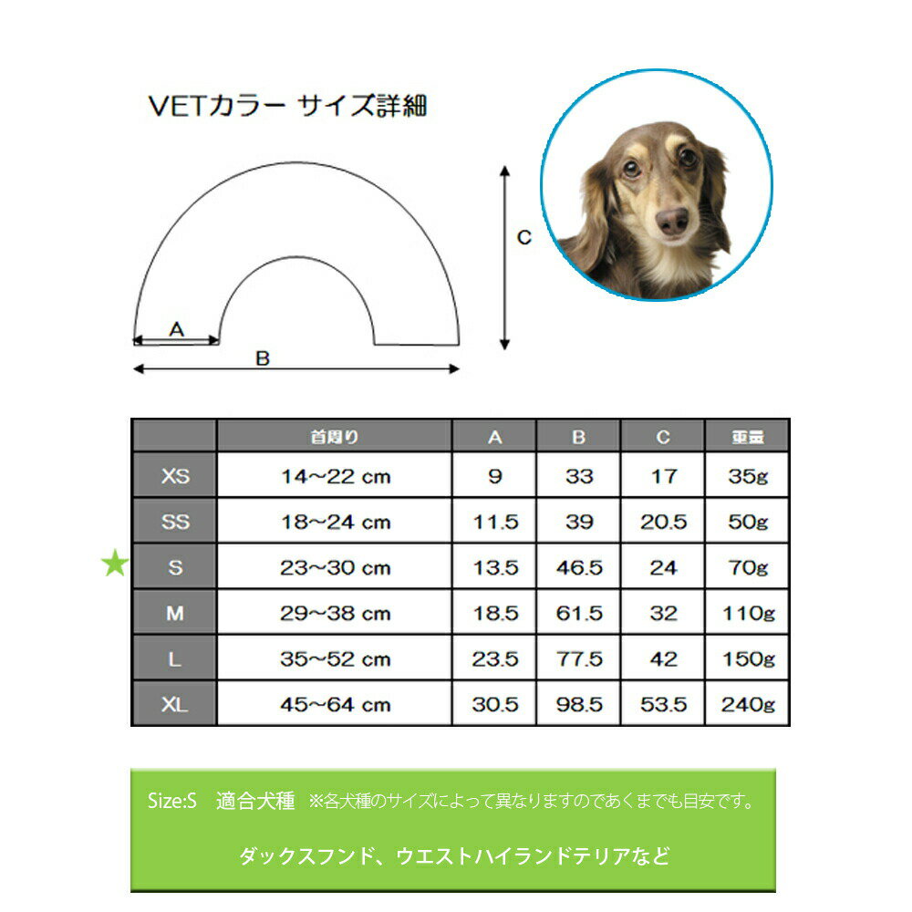 �ں���2000��OFF�����ݥ󡪡�Ź��ݥ���Ⱥ���52�ܡ��ޥ饽����ꡪ�ۥե��󥿥������� VET���顼 S ���ꥢ ���ꥶ�٥����顼 ��� ���� �ݸ� �� ǭ