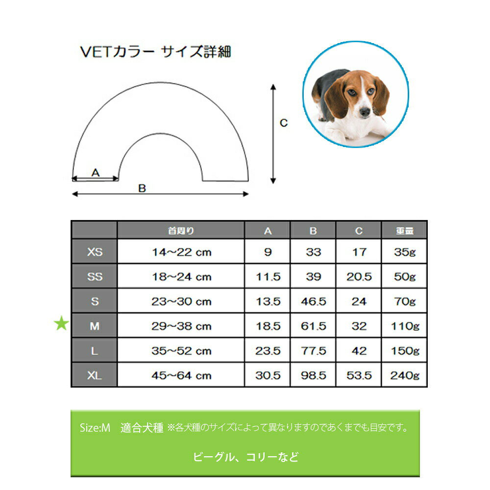 �ں���2000��OFF�����ݥ󡪡�Ź��ݥ���Ⱥ���52�ܡ��ޥ饽����ꡪ�ۥե��󥿥������� VET���顼 M ���ꥢ ���ꥶ�٥����顼 ��� ���� �ݸ� �� ǭ