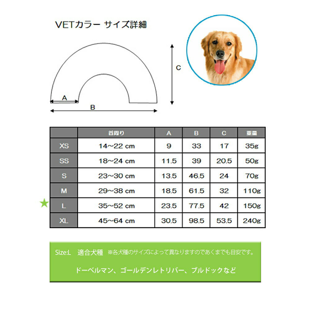 �ں���2000��OFF�����ݥ󡪡�Ź��ݥ���Ⱥ���52�ܡ��ޥ饽����ꡪ�ۥե��󥿥������� VET���顼 L ���ꥢ ���ꥶ�٥����顼 ��� ���� �ݸ� �� ǭ