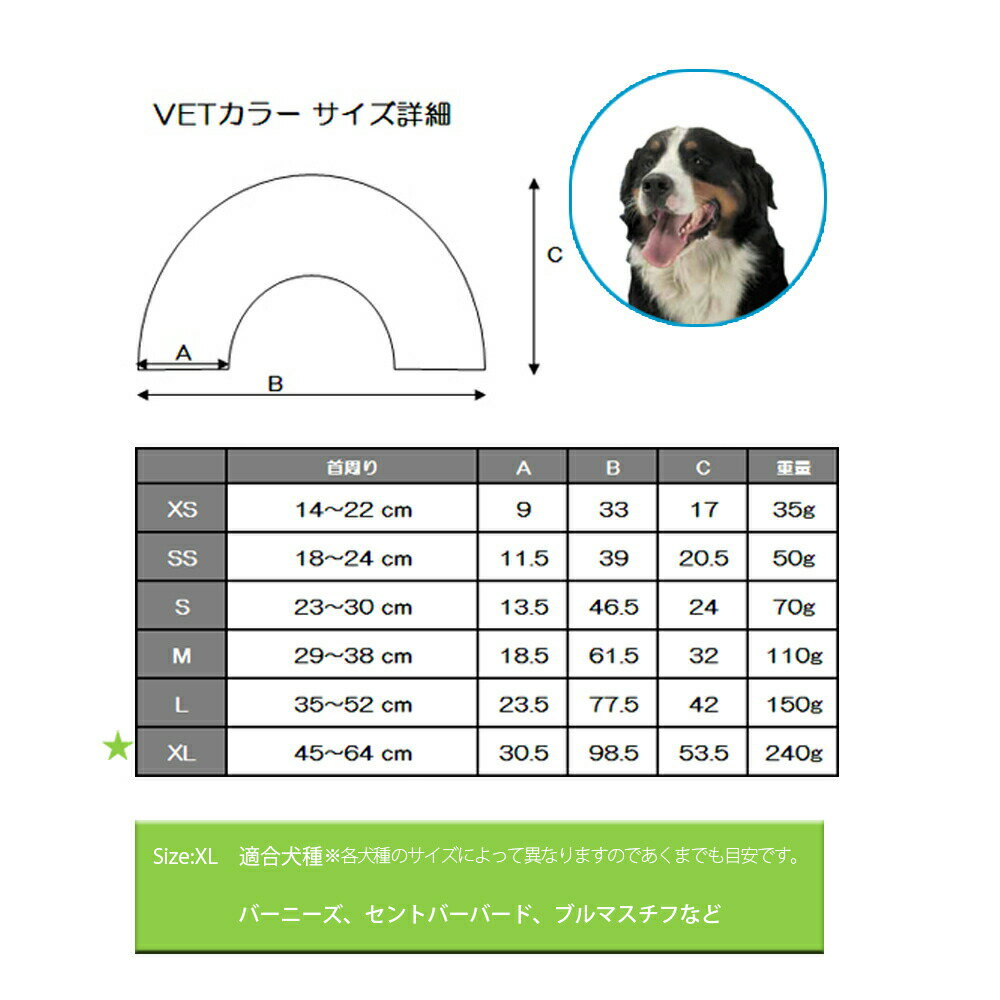 �ں���2000��OFF�����ݥ󡪡�Ź��ݥ���Ⱥ���52�ܡ��ޥ饽����ꡪ�ۥե��󥿥������� VET���顼 XL ���ꥢ ���ꥶ�٥����顼 ��� ���� �ݸ� �� ǭ