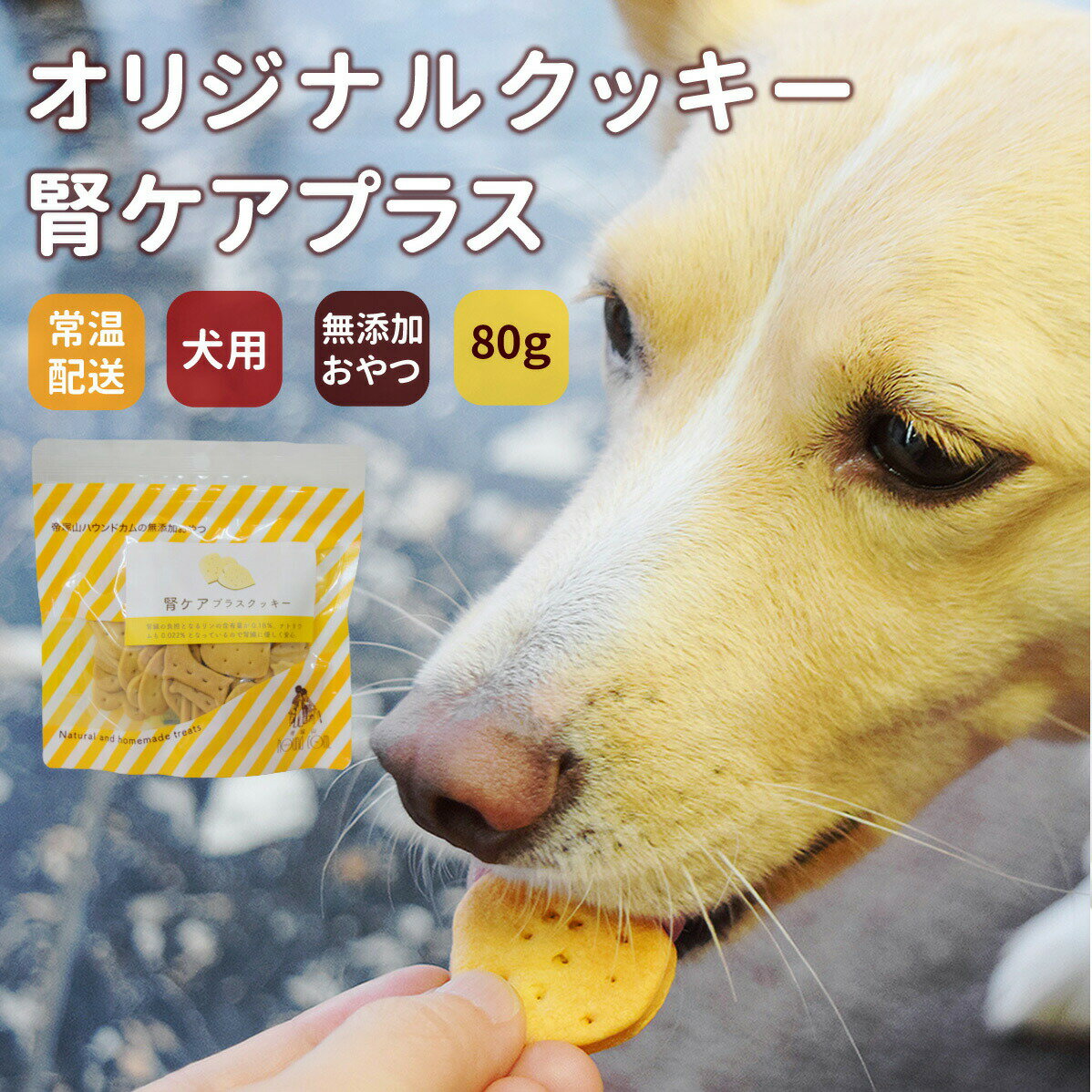 【最大2000円OFFクーポン！マラソン限定】GLORY DOG＆EARTH オリジナルクッキー 腎ケアプラス 80g