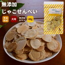 GLORY DOG&EARTH 無添加おやつ じゃこせんべい 40g