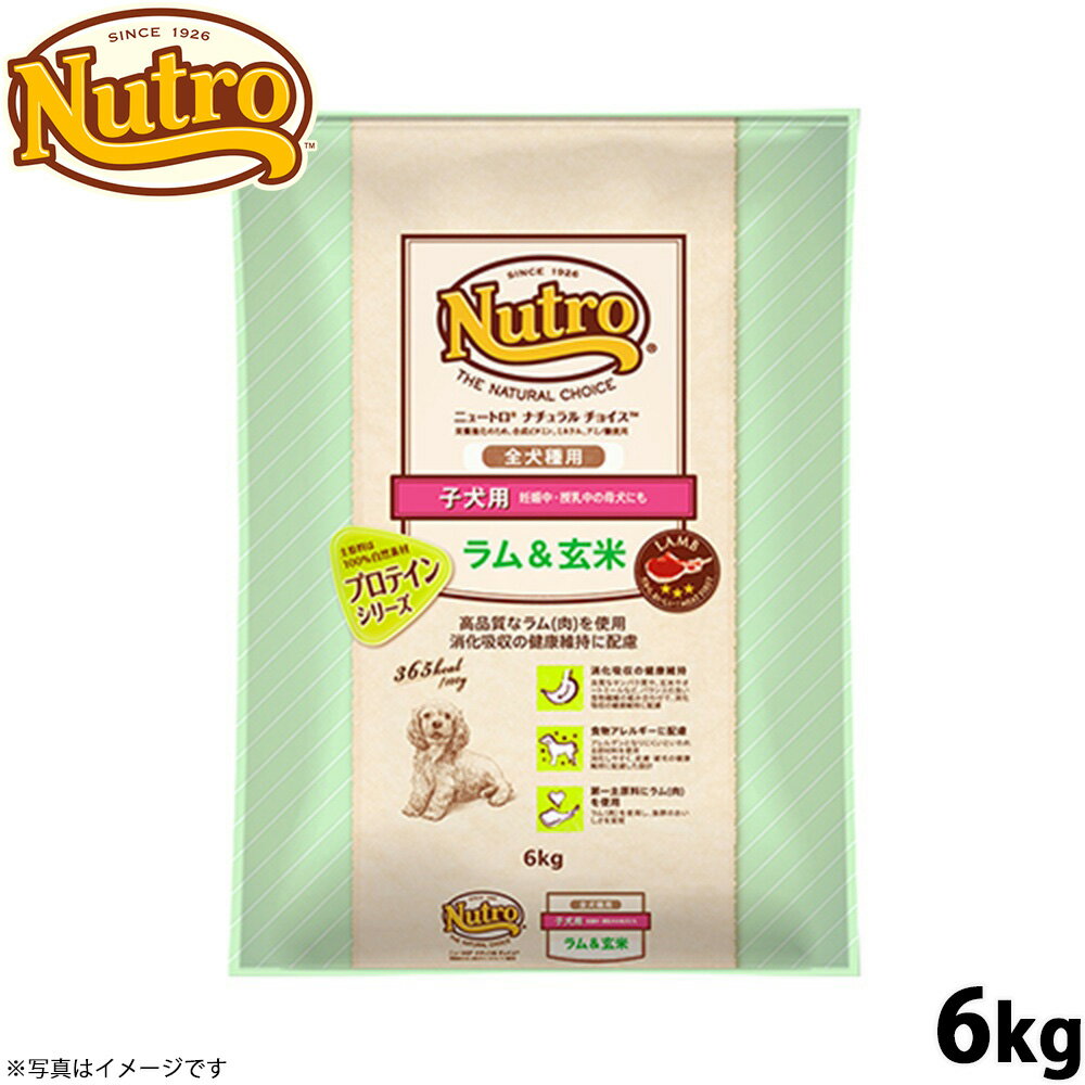 乐天商城 - 【店内ポイント最大54倍！マラソン限定！】ニュートロ ナチュラルチョイス ドッグフード ラム＆玄米 子犬用 全犬種用 6kg 無添加 送料無料