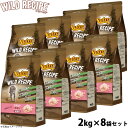 ニュートロ キャットフード ワイルドレシピ アダルト チキン 成猫用 2kg×8袋セット 穀物フリー グレインフリー 無添加 ナチュラル猫用