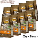 ニュートロ キャットフード ワイルドレシピ アダルト サーモン 成猫用 2kg×8袋セット 穀物フリー グレインフリー 無添加 ナチュラル猫用