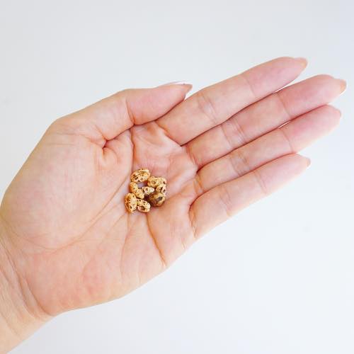 【店内ポイント最大56倍！本日限定！】もち麦ポン太郎 20g（犬用おやつ 無添加 国産）