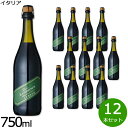 【最大2000円OFFクーポン！マラソン限定！】【最大2000円OFFクーポン！マラソン限定！】ルナート ランブルスコ デッレミーリア ヴィノ・フリッツアンテ セッコ イタリア産 辛口 赤ワイン 微発泡 NV ノン・ヴィンテージ 750ml×12本【送料無料】