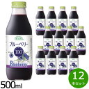 楽天ニール健康ラボ【最大2000円OFFクーポン！マラソン限定！】順造選 ブルーベリー100 500ml×12本セット ジュース ストレート 果汁100％ 無添加 無香料 無加糖 砂糖不使用 瓶 日本製 果肉入り 【送料無料】