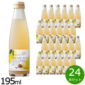 Dean＆Co. 小夏＆シナモンジンジャーエール 195ml×24本セット ジュース 炭酸飲料 スパークリング 果汁10 柑橘系 高知県 【送料無料】