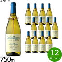 ピノグリージョ テッレ ディ キエティ イタリア産 辛口 白ワイン イタリアワイン 白 イタリア 750ml×12本