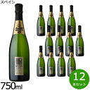 【最大2000円OFFクーポン！マラソン限定！】カヴァ ムッサ ブリュット ナチューレ スペイン産 辛口 スパークリングワイン 白ワイン スペインワイン 泡 スペイン 金賞 NV ノン・ヴィンテージ 750ml×12本【送料無料】