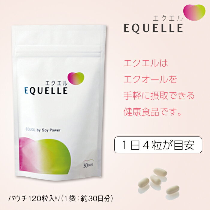 エクエル 120粒 パウチタイプ 単品 大塚製薬 30日分目安