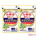 【4/1限定!!最大100%Pバック】 2袋 小林製薬のサラシア100 食後の血糖値が高めの方に 約20日分 60粒 その1