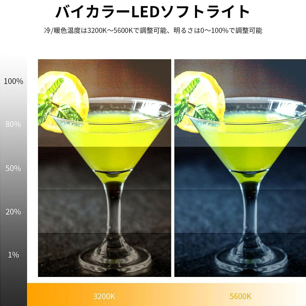 ��P10��UP��! ����ŷ1�̳�������NEEWER 9�����LED�ӥǥ��饤�� �ߥ˻����դ� ���ƾ����ѥ饤�� ������饤�� ��ͥ�饤�� �ѥͥ�饤�� ���ƥ饤�� Ĵ����ǽ 4000mAh�Хåƥ꡼ USBTypeC�ݡ��� 3200K~5600K CRI95+ 600Lux ������/��������/������/ư�軣���� NL-116AI