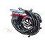LS 配線ハーネス 5.3 ls スタンドアローン配線ハーネス 4L60E LS1 4.8L 5.3L 6.0L DBW DBC ワイヤーハ..