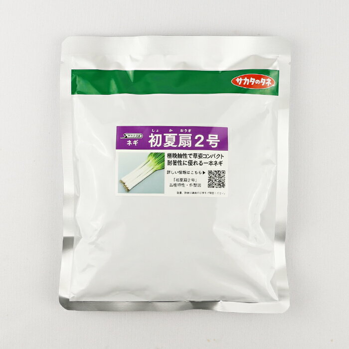 初夏扇2号【サカタのタネ】 コート6000粒【ネギ参謀(埼玉県深谷市)】【送料無料】