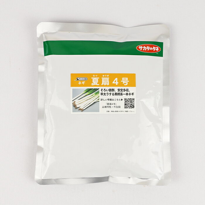 【メーカー直送】夏扇4号 ネギ コート6000粒 サカタのタネ【ネギ参謀(埼玉県深谷市)】【送料無料】