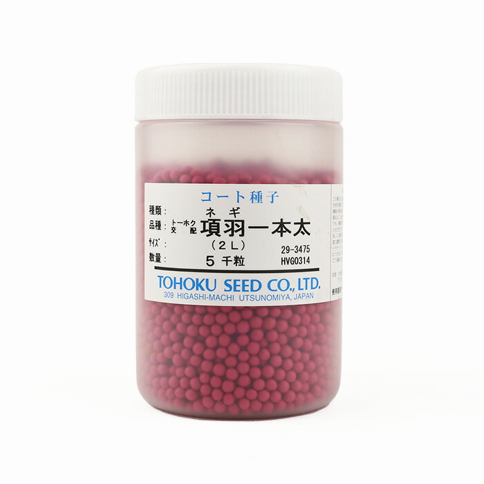 項羽(THN160)【トーホク種苗】 コート5000粒【ネギ参謀(埼玉県深谷市)】