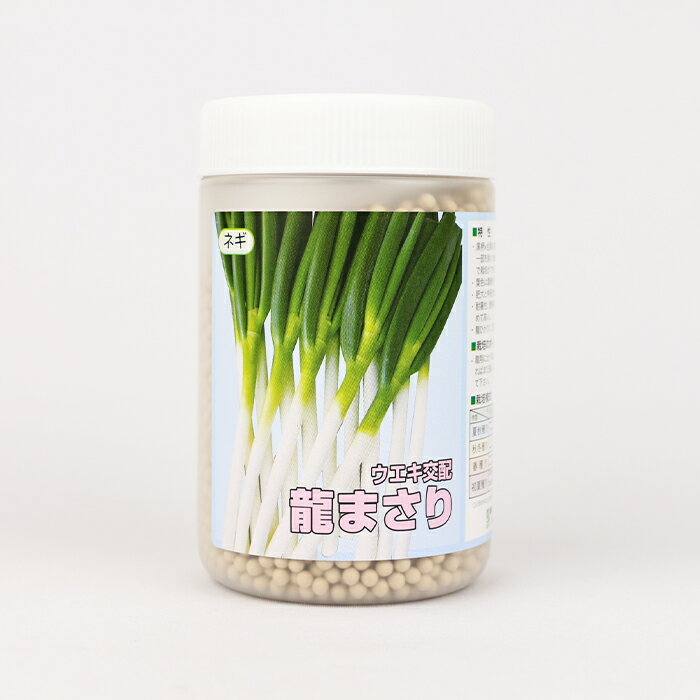 龍まさり ネギ コート6000粒 横浜植木【ネギ参謀(埼玉県深谷市)】【送料無料】