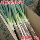 土付き深谷ねぎ 10kg【産地直送】【宅急便 期日指定不可 送料込】【同梱不可】