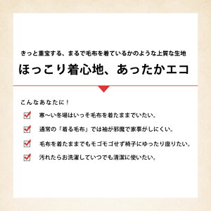 日本製 西川 毛布ロングスリーパー 大人用 袖の無い着る毛布 はんてん ポケット付 M～Lサイズ プレゼント 敬老の日 クリスマス ギフト 2023