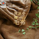 世界で唯一の毛布 西川 毛布 シングル ハイハイバルキー(3)