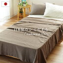 \西川の今治タオルプレゼント/ カシミヤ毛布 ブランケット シングル 150×210cm 無地 日本製 カシミヤ100% 国産 インナーブランケット インナーケット 純毛毛布
