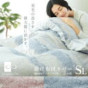 ロマンス小杉 掛け布団カバー 綿100% サテン織り シングル 150×210cm 超長綿 日本製 高密度 国産 掛けふとんカバー 布団カバー シングル 羽毛布...