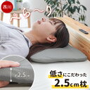 西川 低さにこだわった 枕 もっちり やわらか 高さ:約2.5cm 単品 セット 1枚 2枚