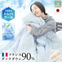 西川 綿100% ダウンケット フランス産 ダウン90% シングル 洗える 肌掛け布団 トレハクール 洗える 日本製