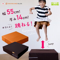 https://thumbnail.image.rakuten.co.jp/@0_mall/negoroya/cabinet/08486143/imgrc0087848367.jpg