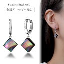 ピアス 金属アレルギー対応 セカンドピアス ファーストピアス レディース 誕生日 プレゼント ステンレス316L フープ 輪 輪っか 中折れ 甲丸 ピアス 天然...