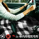 車用 電気毛布 12V 4段温度調整 6段階タイマー タイマー 掛け毛布 100cm*60cm 加熱毛布 暖かい 寒さ対策 過流過圧保護 電気ブランケット 防寒...
