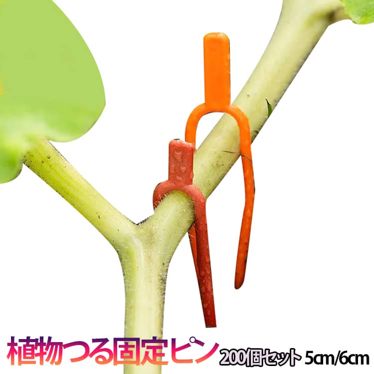 Rakuten - 植物 つる 固定 植物 クリップ 園芸クリップ いちご栽培 200個セット 固定ピン クランプ イチゴ サツマイモ トマトクリップ スイカ 茎 固定 200個セット 蔓 つる フォーク フォーク ガーデニング 植物サポート 植物 栽培補助 園芸用品