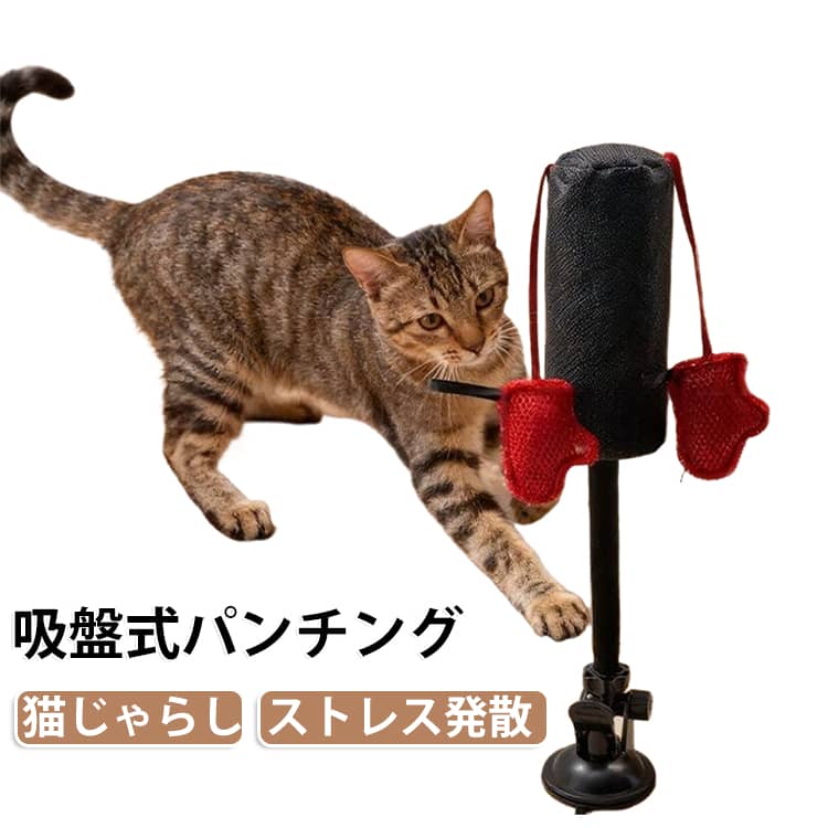もう家具は壊さない！拳ボクシング吸盤猫じゃらし吸盤でしっかり固定、360揺れて楽しく狩猟本能を刺激。遊びながらストレス発散できる、家具破壊対策おもちゃ。 サイズ F サイズについての説明 サイズ：35cm※測定方法によって誤差が生じますので、予めご了承下さい。 素材 オックスフォード その他 色 01 02 備考 ●サイズ詳細等の測り方はスタッフ間で統一、徹底はしておりますが、実寸は商品によって若干の誤差(1cm～3cm )がある場合がございますので、予めご了承ください。 ●製造ロットにより、細部形状の違いや、同色でも色味に多少の誤差が生じます。 ●パッケージは改良のため予告なく仕様を変更する場合があります。 ▼商品の色は、撮影時の光や、お客様のモニターの色具合などにより、実際の商品と異なる場合がございます。あらかじめ、ご了承ください。 ▼生地の特性上、やや匂いが強く感じられるものもございます。数日のご使用や陰干しなどで気になる匂いはほとんど感じられなくなります。 ▼同じ商品でも生産時期により形やサイズ、カラーに多少の誤差が生じる場合もございます。 ▼他店舗でも在庫を共有して販売をしている為、受注後欠品となる場合もございます。予め、ご了承お願い申し上げます。 ▼出荷前に全て検品を行っておりますが、万が一商品に不具合があった場合は、お問い合わせフォームまたはメールよりご連絡頂けます様お願い申し上げます。速やかに対応致しますのでご安心ください。