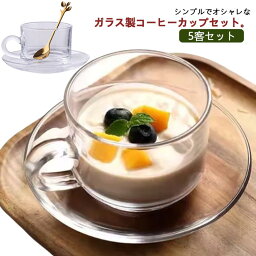 ガラス コーヒーカップ 5客 セット ソーサー付き スプーン付き 165ml 小さめ 珈琲カップ ティーカップ 北欧 おしゃれ コーヒーカップ リム皿 皿付き マグカップ 食器 珈琲 紅茶 カップ クリア 透明 シンプル オフィス 来客用 会議用 業務用