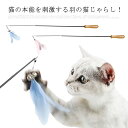 愛猫用伸縮スティックタイプ付け猫じゃらし おもちゃ 猫じゃらし 釣竿じゃらし ねこじゃらし おもちゃ セット プレゼント 贈答 愛猫のおもちゃに 猫用品 猫グッズ 持ちやすい 伸ばせる釣竿タイプ