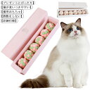 猫 おもちゃ 猫用ボール 猫じゃらし ネコ 運動不足 ストレス解消 ダイエット 玉遊び 6個セット 鈴入れ 噛むおもちゃ トレーニング 猫遊び用 鈴付き 追いか...