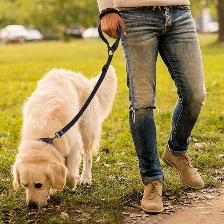 送料無料 ペット 犬用 シートベルト ドライブ 車専用リード 安全ベルト 簡単装着 1...