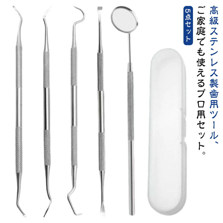 歯石取り 歯石とり 器具 自宅用 自分で取る スケーラー 歯垢 ヤニとり ステンレス製 先極細 デンタルツール 歯石除去 プロ仕様 口腔ケア器具 虫歯 口腔清潔 自宅用 送料無料 敬老の日 5点セット 歯科ツールセット 歯石取り 送料無料