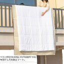 シート お手入れ 汚れ防止 【送料無料】布団干しシート ベランダ 布団 160×240cm ふとん ふとん干し 屋外 ベランダ 手すり 大判 防塵シート 掛け布...