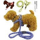 送料無料 犬 首輪リードセット 首輪 リード 犬用くびわ 夜反射 リード 頑丈 サイズ調節可能 簡単脱着式 小型犬 中型犬 大型犬 脱走防止 散歩 お出かけ用