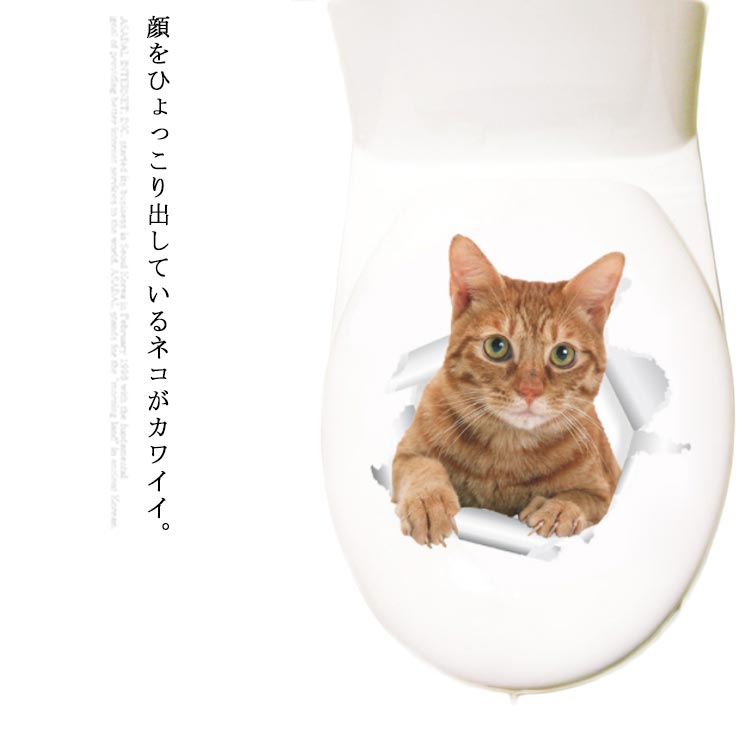 ネコ好きにはたまらないitem！4種類セット 猫顔 ウォールステッカー 壁 シール カー 冷蔵庫 アクセサリー 特大 立体 3D 猫グッズ リビング ユニーク 面白い インテリア ねこちゃん