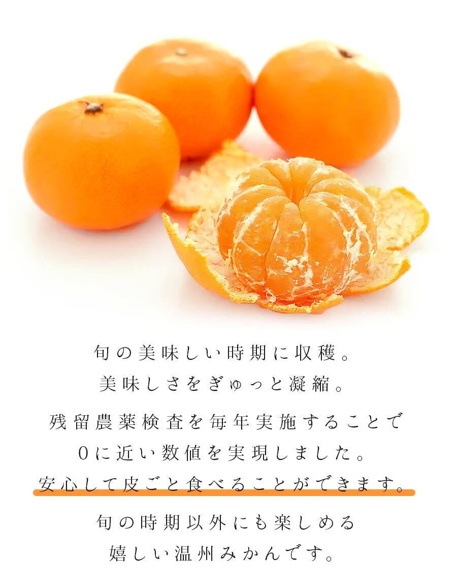 �ɥ饤�ߤ��� �ɥ饤 �ե롼�� �ɥ饤����� �ɤ餤�ߤ��� �ɥ饤�ߥ��� �����ߤ��� �ɥ饤�ե롼�� ���� �ߤ��� ���饤�� ���ڤ� �� �򹯤���� �����ߥ��� ���ϲ����ߤ��� ���Ϥߤ��� ���ϥߥ��� �ɥ饤�ե롼�ĥ���� �񻺥ɥ饤�ե롼�� ����˹礦 ���Ĥޤ�