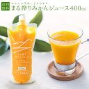 お試し 送料無料 みかんジュース オレンジジュース 400ml 母の日 ストレート ネイバーフッド ジュース 母の日ギフト 100%ジュース まる絞りみかんジュ...